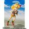 S.H.Figuarts `