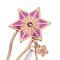 Sł̐n~ANNA SUI@񂴂yl󒍁F2021N10z