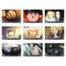 |̘Bpt FULLMETAL ALCHEMIST AP~XgJ[h Rv[gZbg