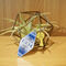 VejX̉ql@The Prince Goes Abroad Ver.K.ATOBE [L[z_[@`[t