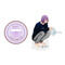 ynsNIzKUROCORZET2022  ANX^hy񎟎󒍁F2023N3͂z