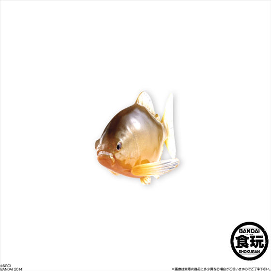 未開封 百獣大戦グレートアニマルカイザーゴッド 闘獣録3 8種 コンプ 百獣大戦グレートアニマルカイザーゴッド闘獣録｜発売日：2013年9月17