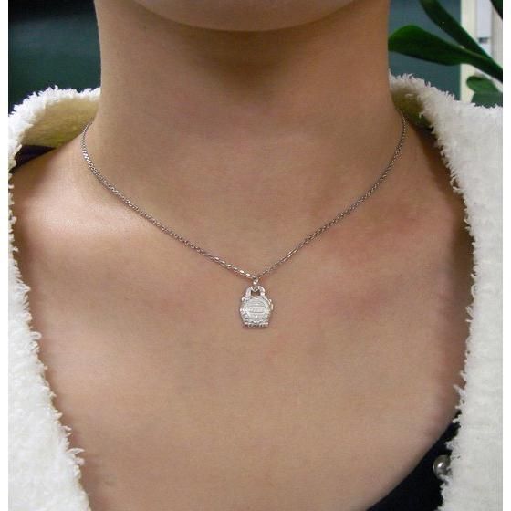 仮面ライダー鎧武 メロンロックシード silver925製 プチネックレス