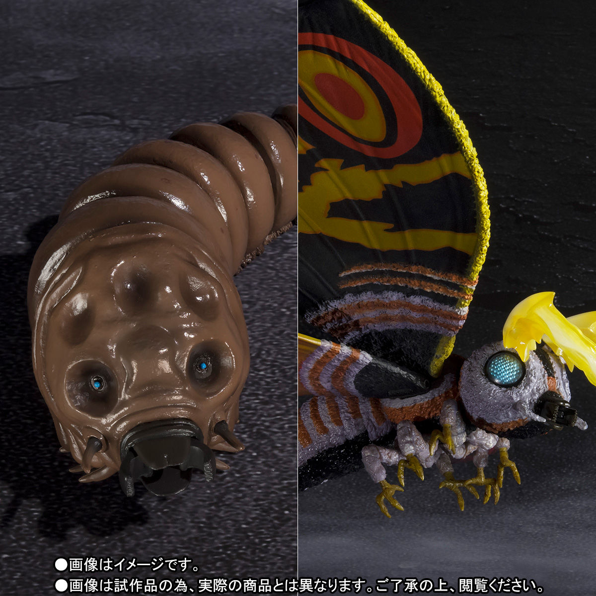 S.H.MonsterArts モスラ（成虫）＆モスラ（幼虫） Special Color Ver