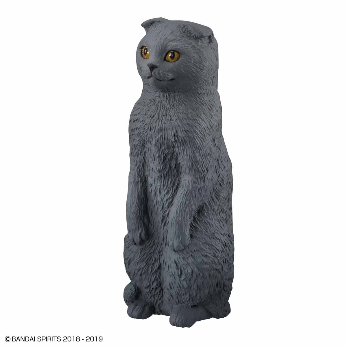 ねこぶそう3 中盛り｜バンダイ ホビーサイト