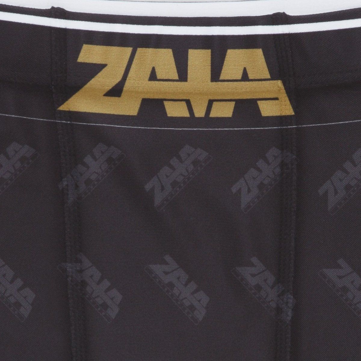 仮面ライダーゼロワン ZAIA（ザイア） 天津 垓 ボクサーパンツ | 仮面