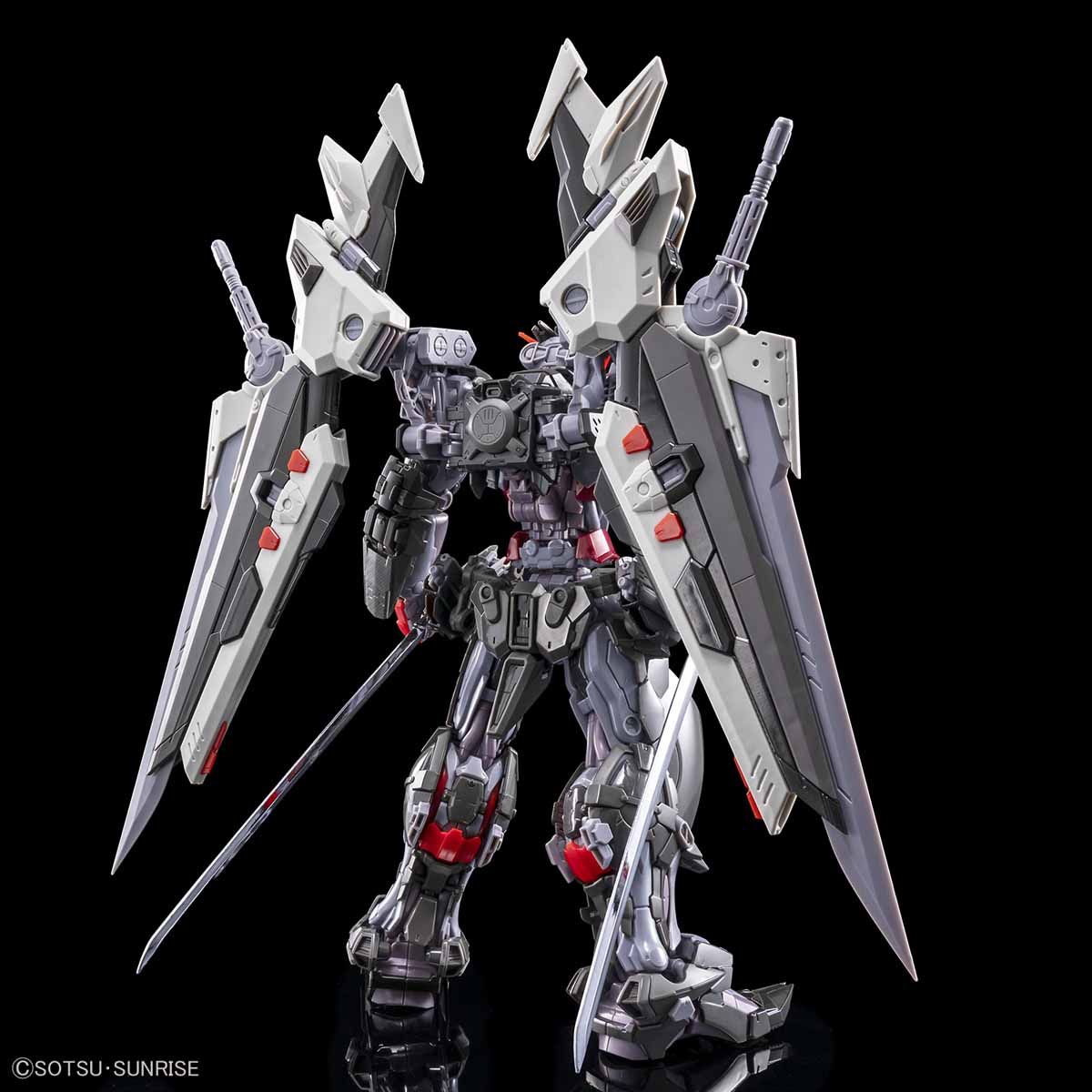 HiRM 1/100 MBF-P0X+AQM/E-X09S Gundam Astray Noir