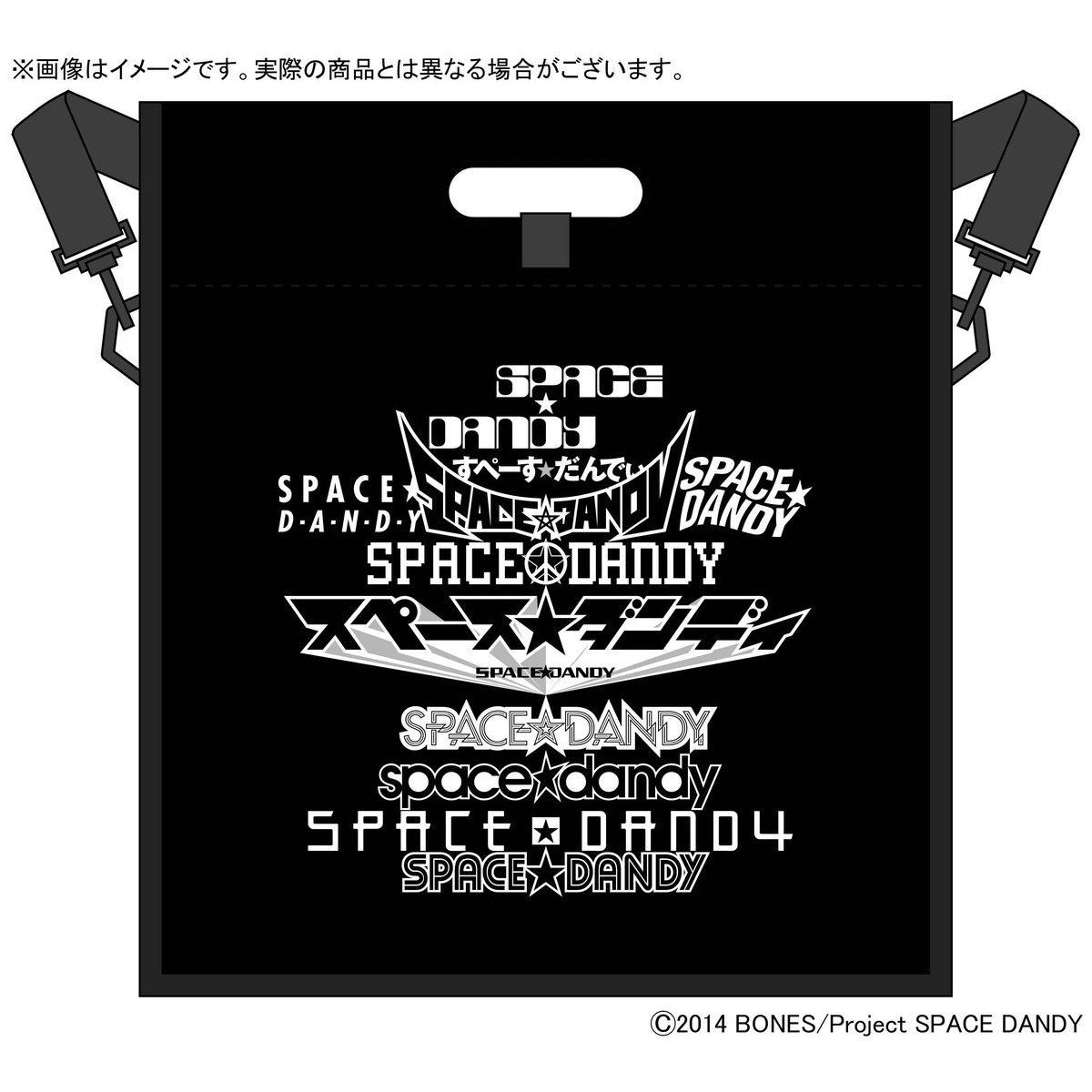 VIDESTA スペース☆ダンディ レコードバッグ | スペース☆ダンディ