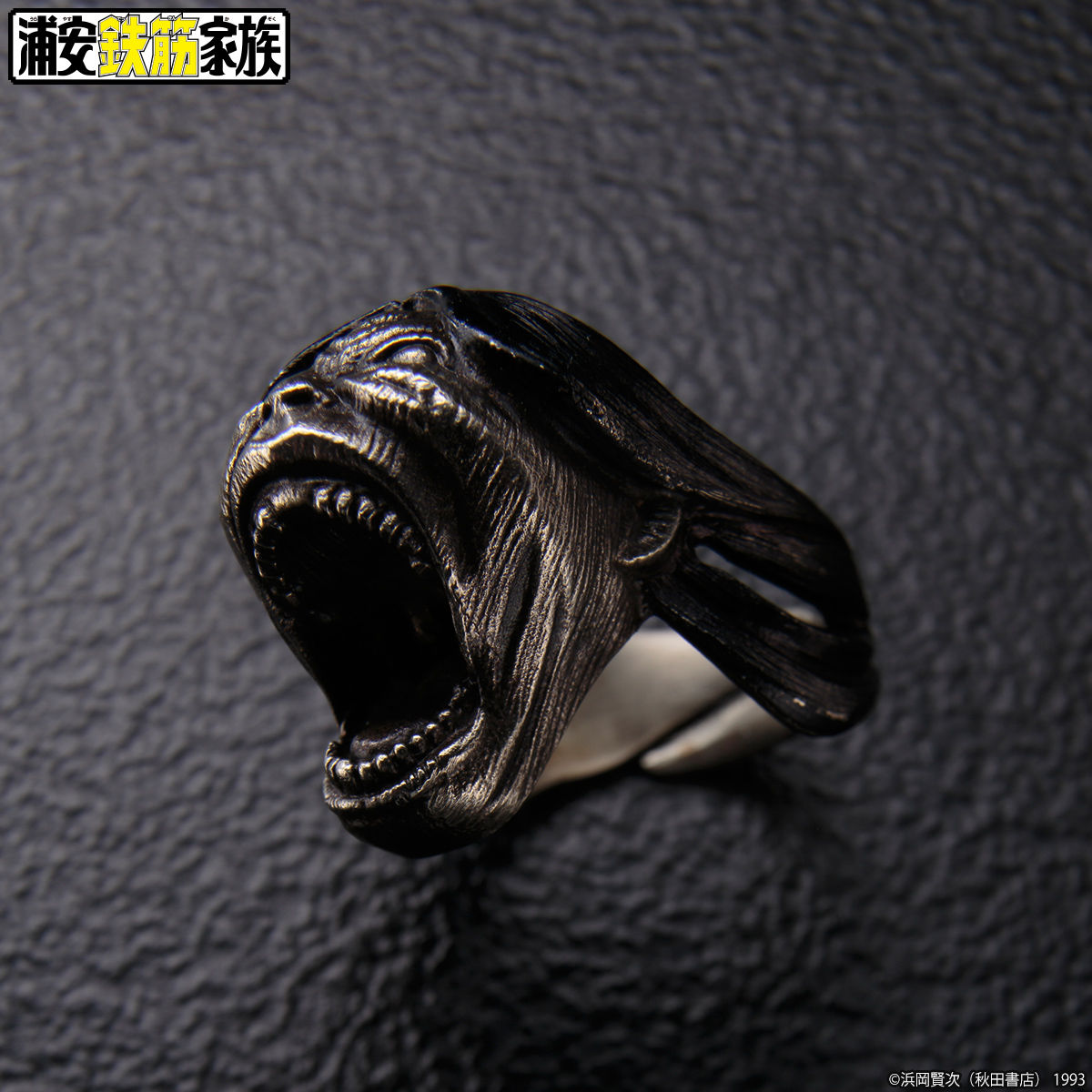 【Domon Ken: 土門拳】シュリンク包装未開封新品 2016年初版 Domon Ken: 土門拳】シュリンク包装未開封新品 2016年初版