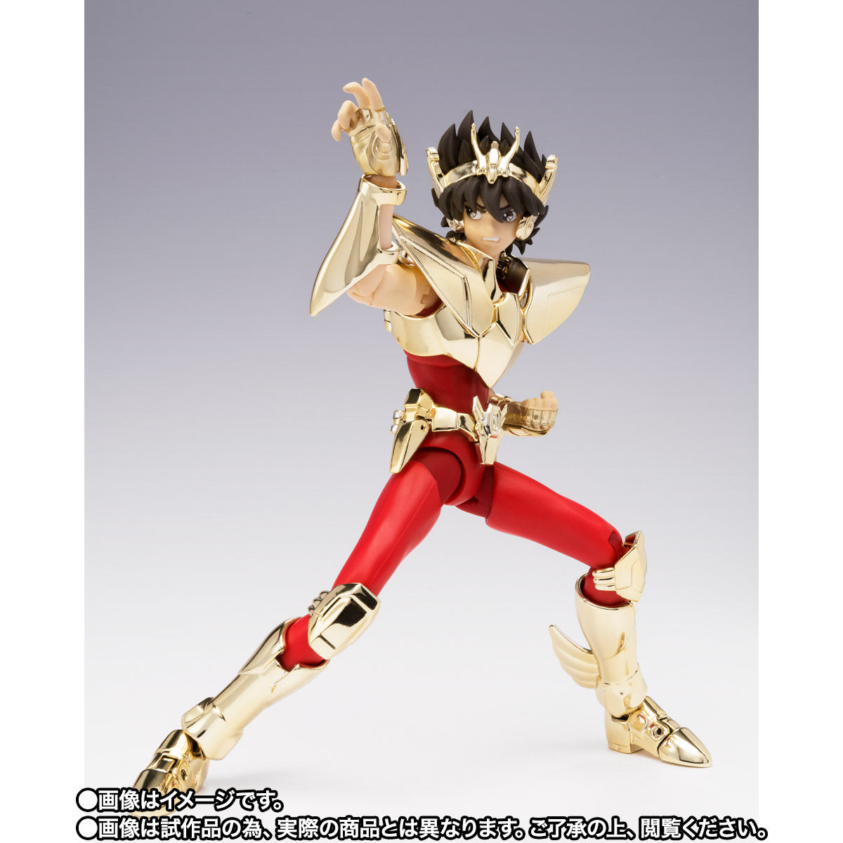 TNT限定品】聖闘士聖衣神話EX ペガサス星矢(新生青銅聖衣) ~GOLDEN
