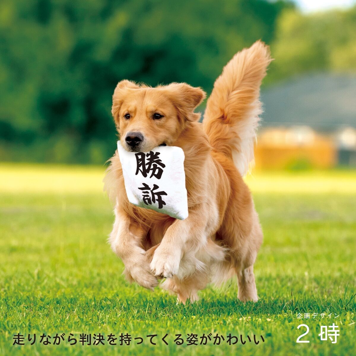 いろんな 犬