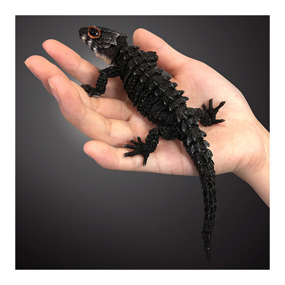 いきもの大図鑑アドバンス アカメカブトトカゲとモトイカブトトカゲ いきもの大図鑑アドバンス アカメカブトトカゲとモトイカブトトカゲ