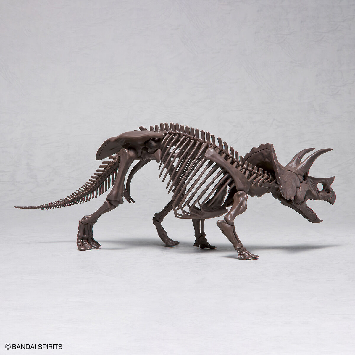 1/32 Imaginary Skeleton トリケラトプス｜バンダイ ホビーサイト