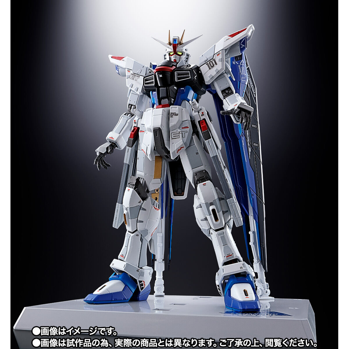 海外限定 RG フリーダム Ver.GCP 1/144 店頭 数量限定発売 バンダイ 