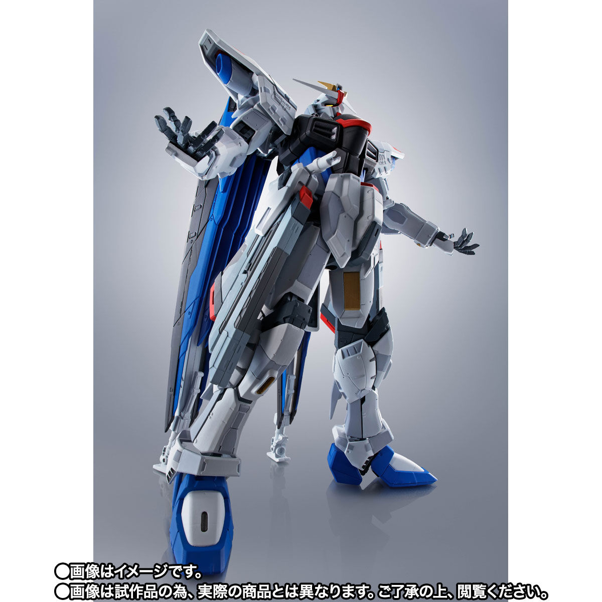 Robot Spirits(Side MS) R-SP ZGMF-X10A Freedom Gundam(Gundam China Project)