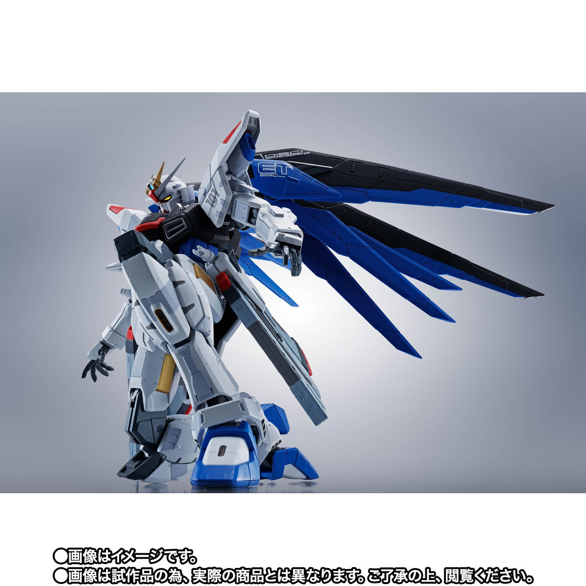 抽選販売】ROBOT魂 ＜SIDE MS＞ZGMF-X10A フリーダムガンダム Ver.GCP