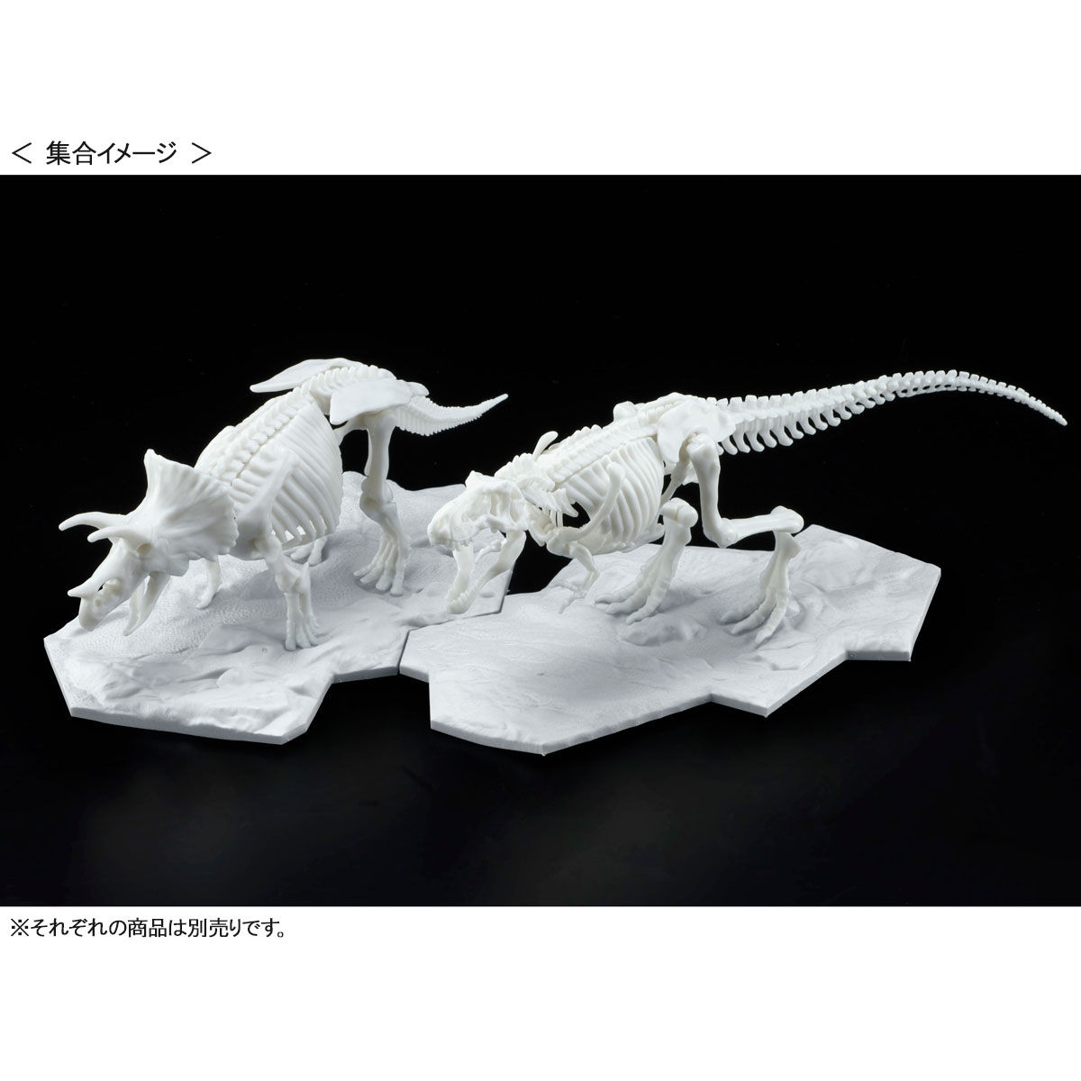 史上最も激安 グレンコ モデル 1 25 Grencoe Models ステゴサウルス 骨格標本 プラモデル 恐竜 60サイズ Pcinsurances Ie