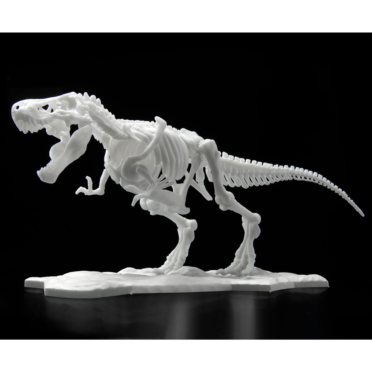 恐竜骨格プラモデル ティラノサウルス ２０２２年１２月発送 フィギュア プラモデル プラキット バンダイナムコグループ公式通販サイト