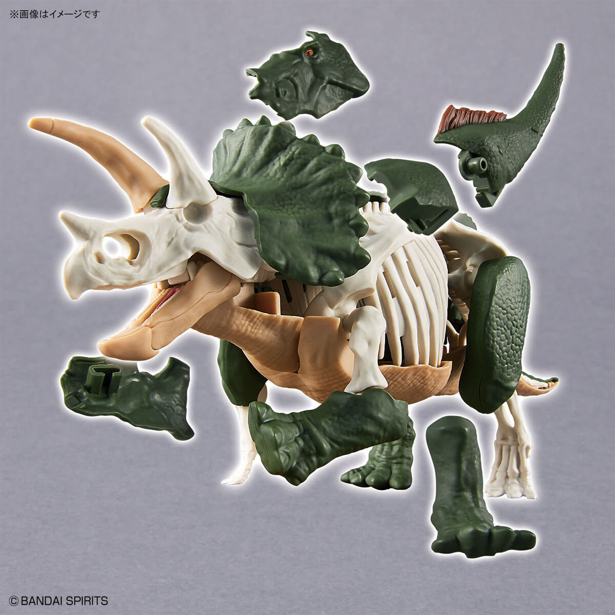 【カスタム品】プラノサウルス トリケラトプス プラノサウルス トリケラトプス｜バンダイ ホビーサイト