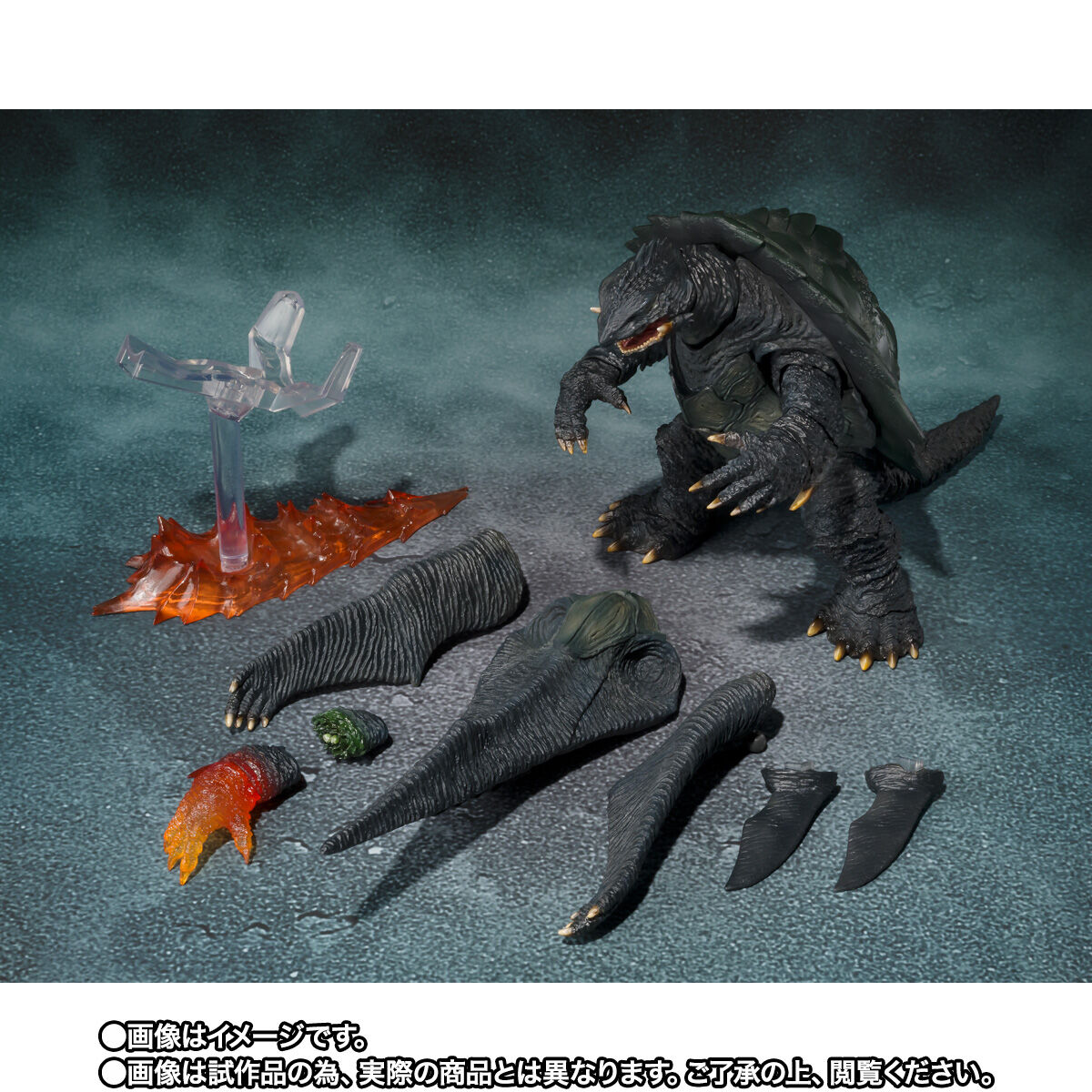 S.H.MonsterArts GAMERA -Rebirth- ガメラ (2023) - ヒーロー、特撮