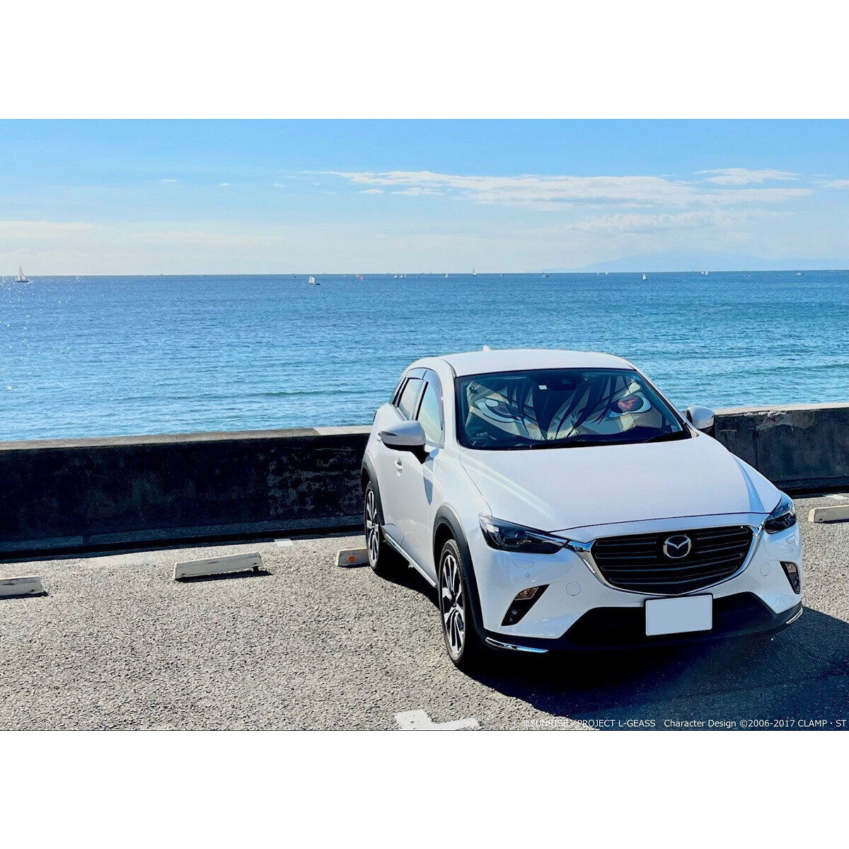 コードギアス 反逆のルルーシュ カーシェード＜全8種＞ | コードギアス