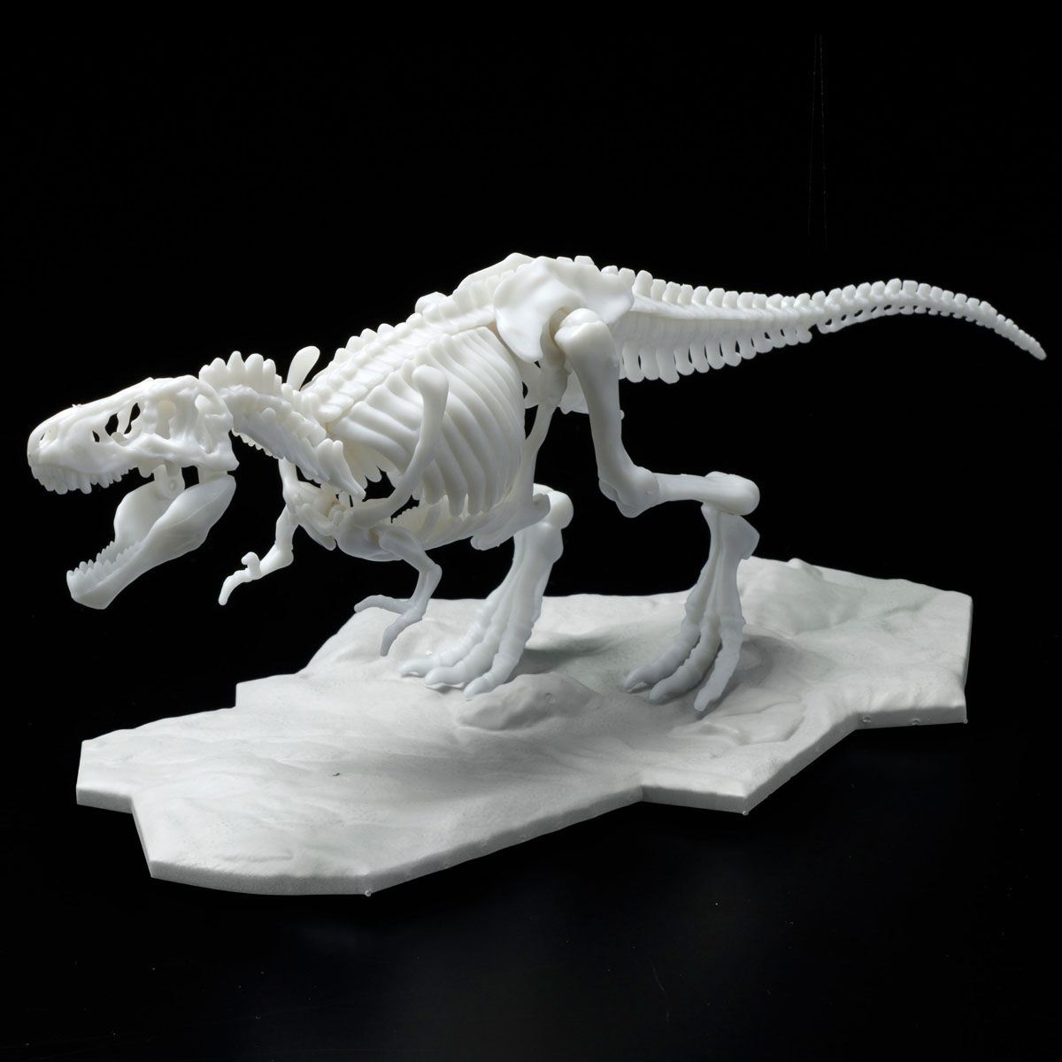 恐竜骨格プラモデル ティラノサウルス【２０２３年２月発送】| プレミアムバンダイ