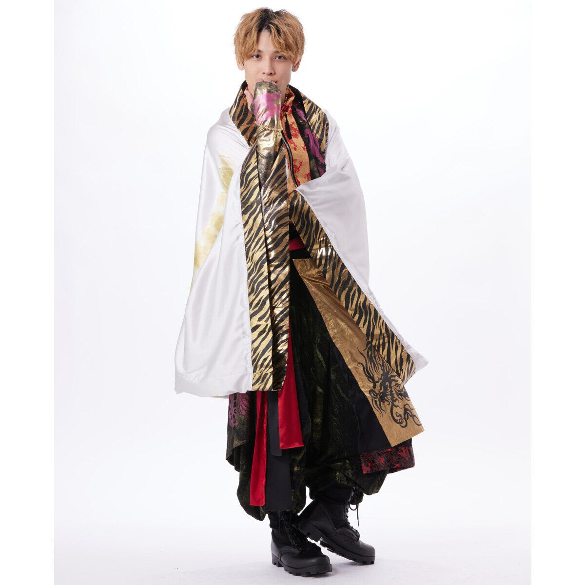 暴太郎戦隊ドンブラザーズ h.NAOTO 桃谷ジロウ タイガー筒型