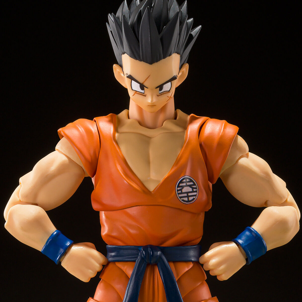 【豊富な安い】S.H.フィギュアーツ ドラゴンボール S.H.Figuarts ラディッツ プレミアムバンダイ その他