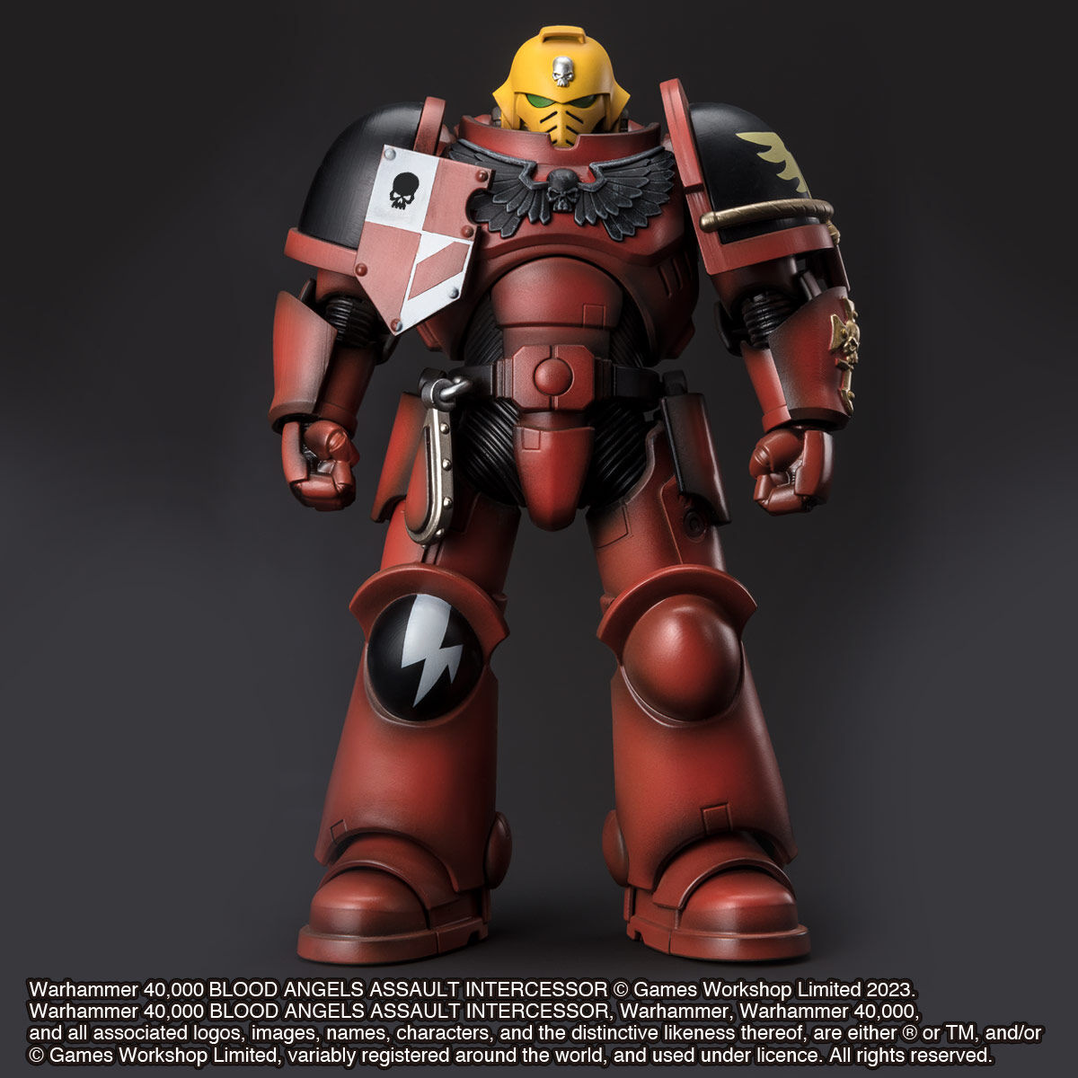 WARHAMMER 40,000 BLOOD ANGELS ASSAULT INTERCESSOR