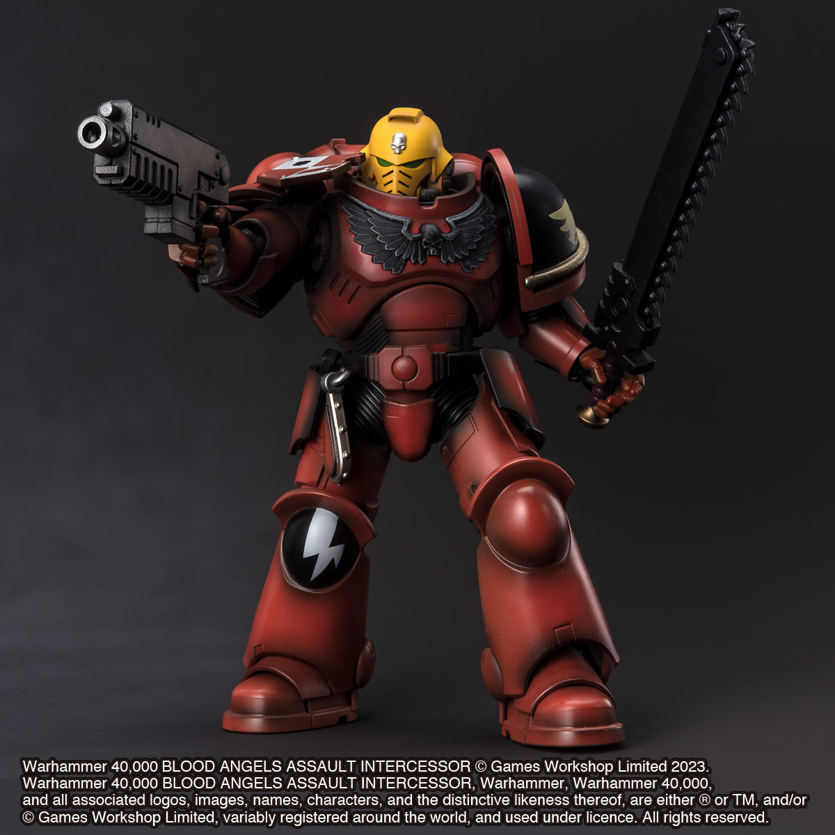 WARHAMMER 40,000 BLOOD ANGELS ASSAULT INTERCESSOR
