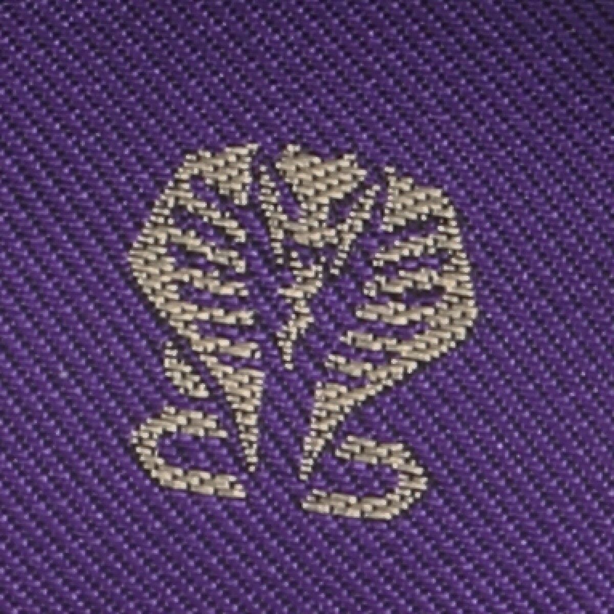 仮面ライダー王蛇 本革キーケース【2023年10月発送】 | 仮面ライダー龍 