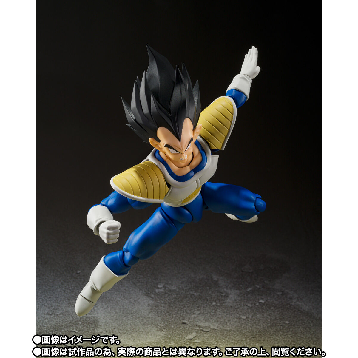 S.H.Figuarts ベジータ-24000の戦闘力- | ドラゴンボールZ フィギュア 