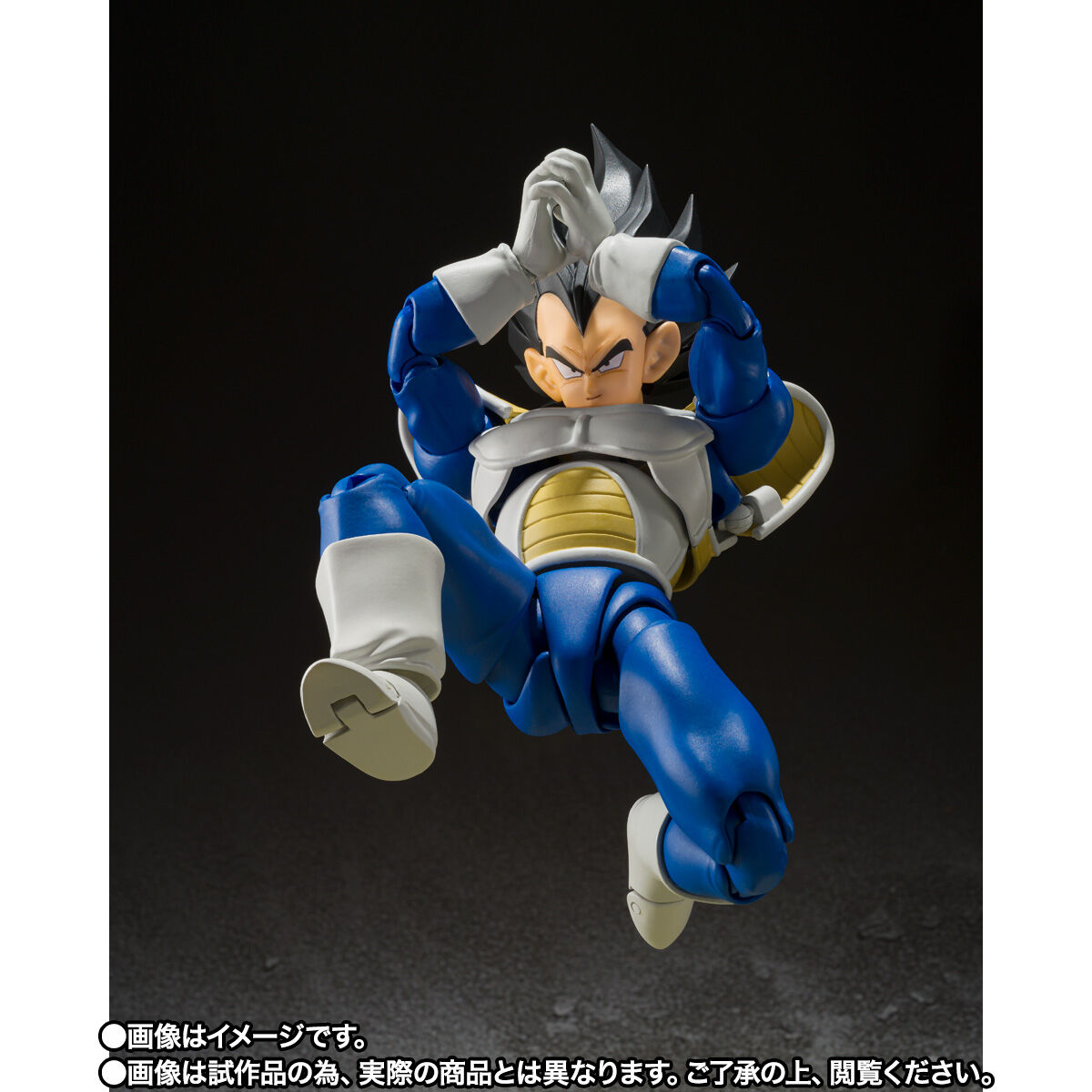 S.H.Figuarts ベジータ-24000の戦闘力- | ドラゴンボールZ フィギュア