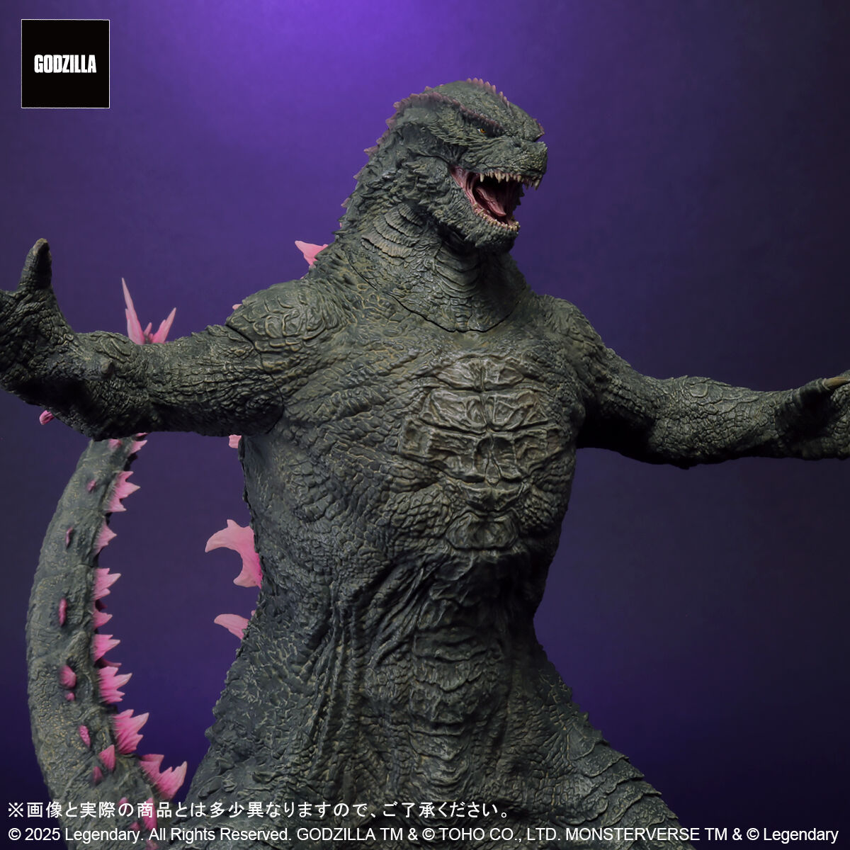 東宝大怪獣シリーズ GODZILLA(2024)EVOLVED Ver. | ゴジラ