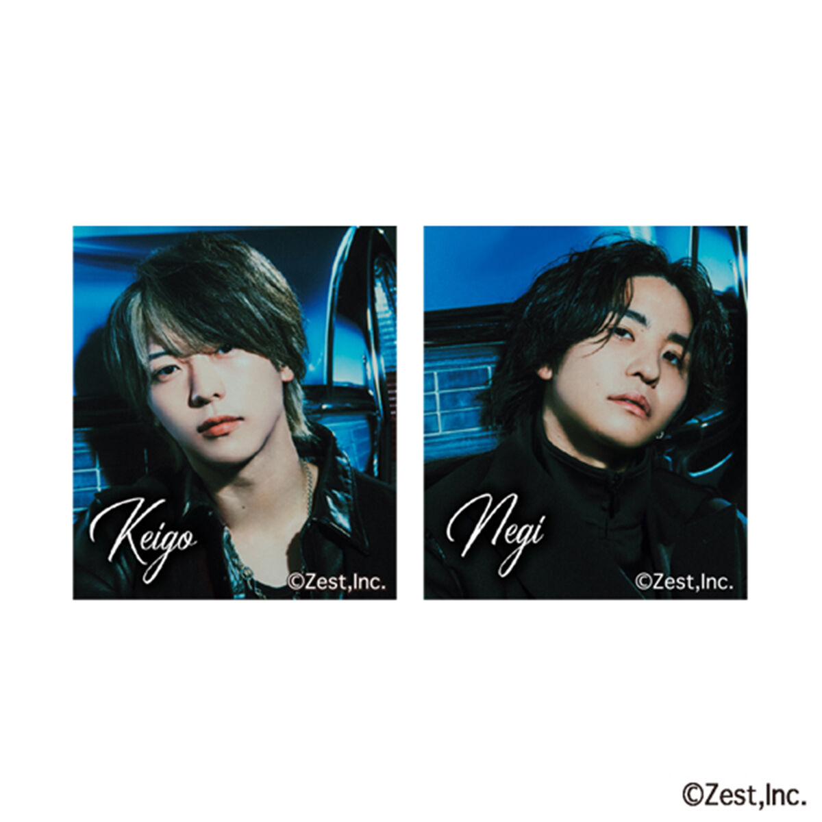 びっくらたまご Novelbright マグネットミュージアム | 日用品