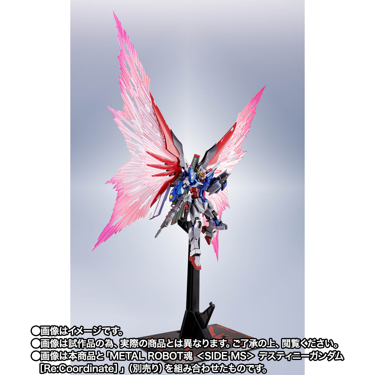METAL ROBOT魂 ＜SIDE MS＞ デスティニーガンダム［Re