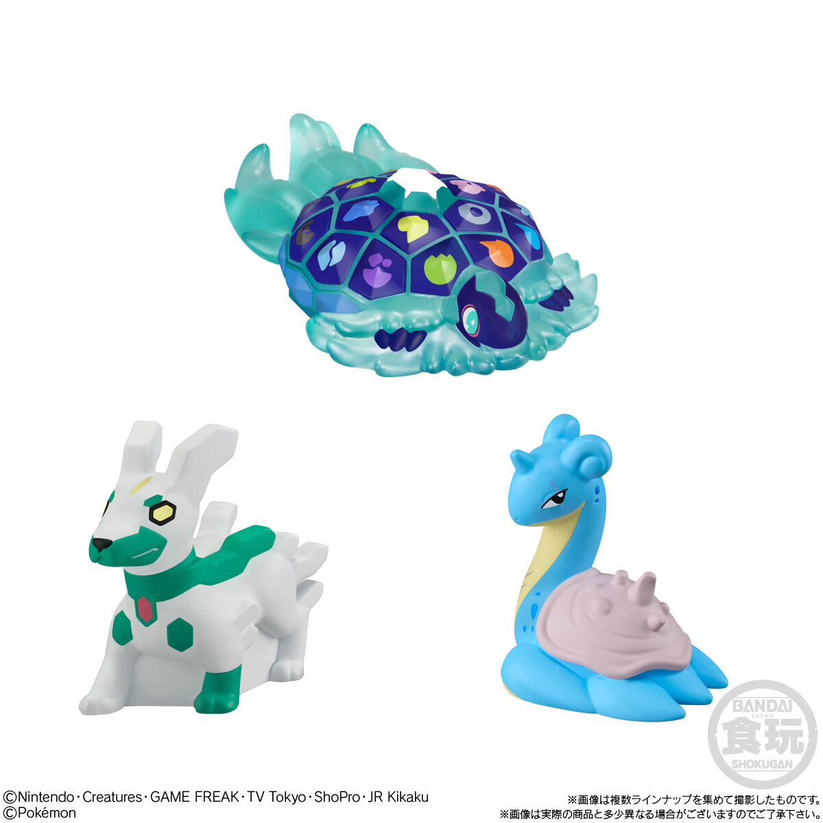 ポケモンキッズ テラパゴス編(24個入) | ポケットモンスター