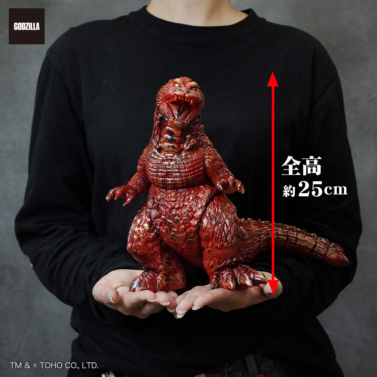 CORE: Frog Tree バーニング ゴジラ 赤黒マーブル WF2024夏 CORE: Frog Tree バーニング ゴジラ 赤黒マーブル WF2024夏