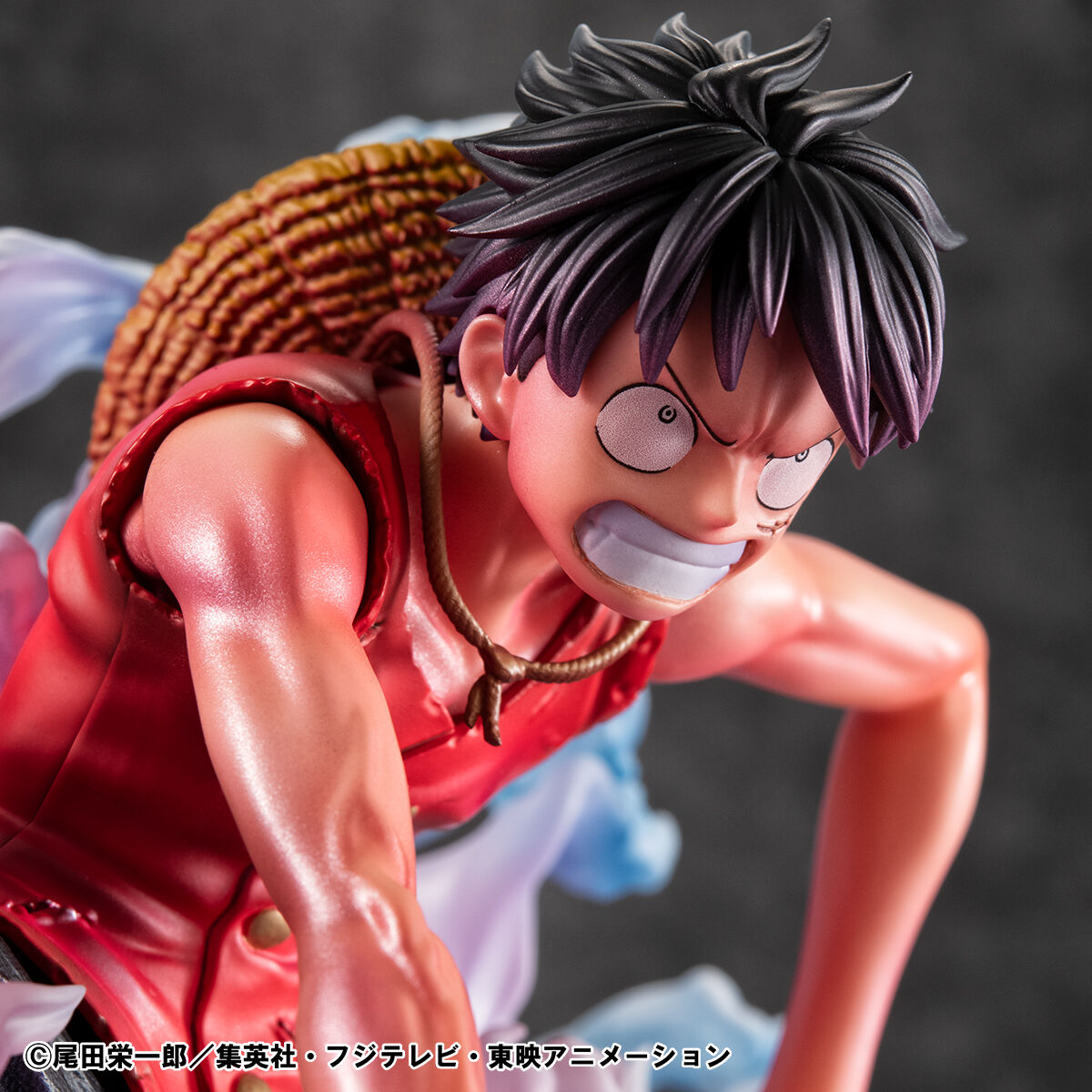 Portrait.Of.Pirates ワンピース “LIMITED EDITION” モンキー・D