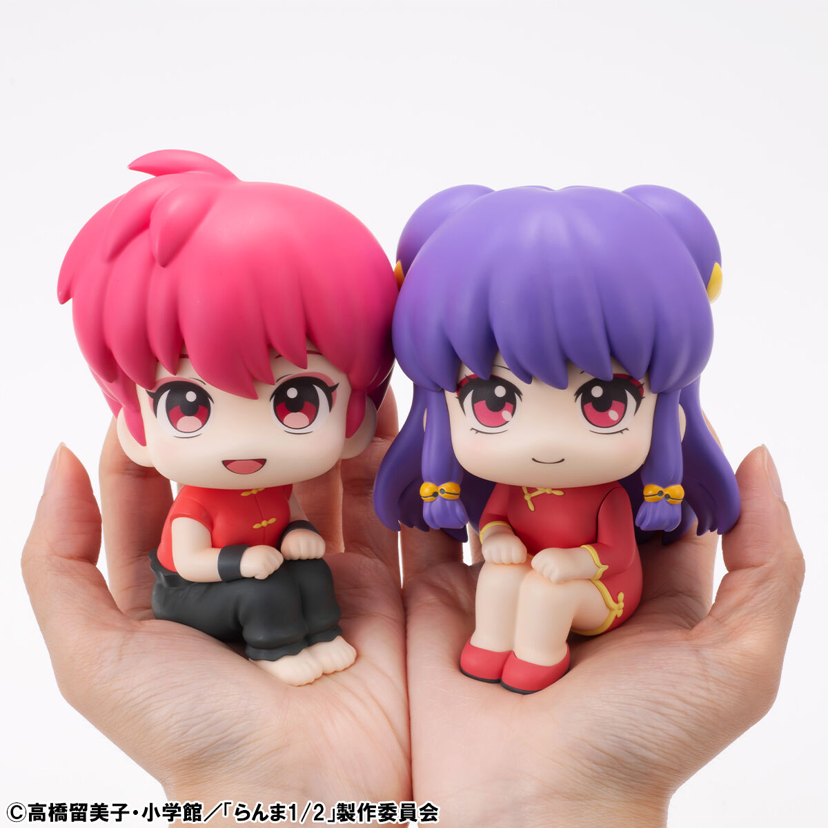 TVアニメ らんま1/2 全41巻セット 限定収納BOX付き らんまBOX】らんま1/2 SSC完全復刻BOX