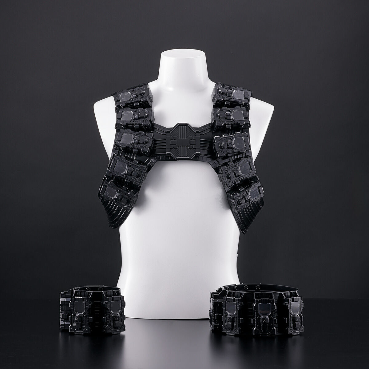 CSM T2ガイアメモリver.2対応】DX仮面ライダーエターナル