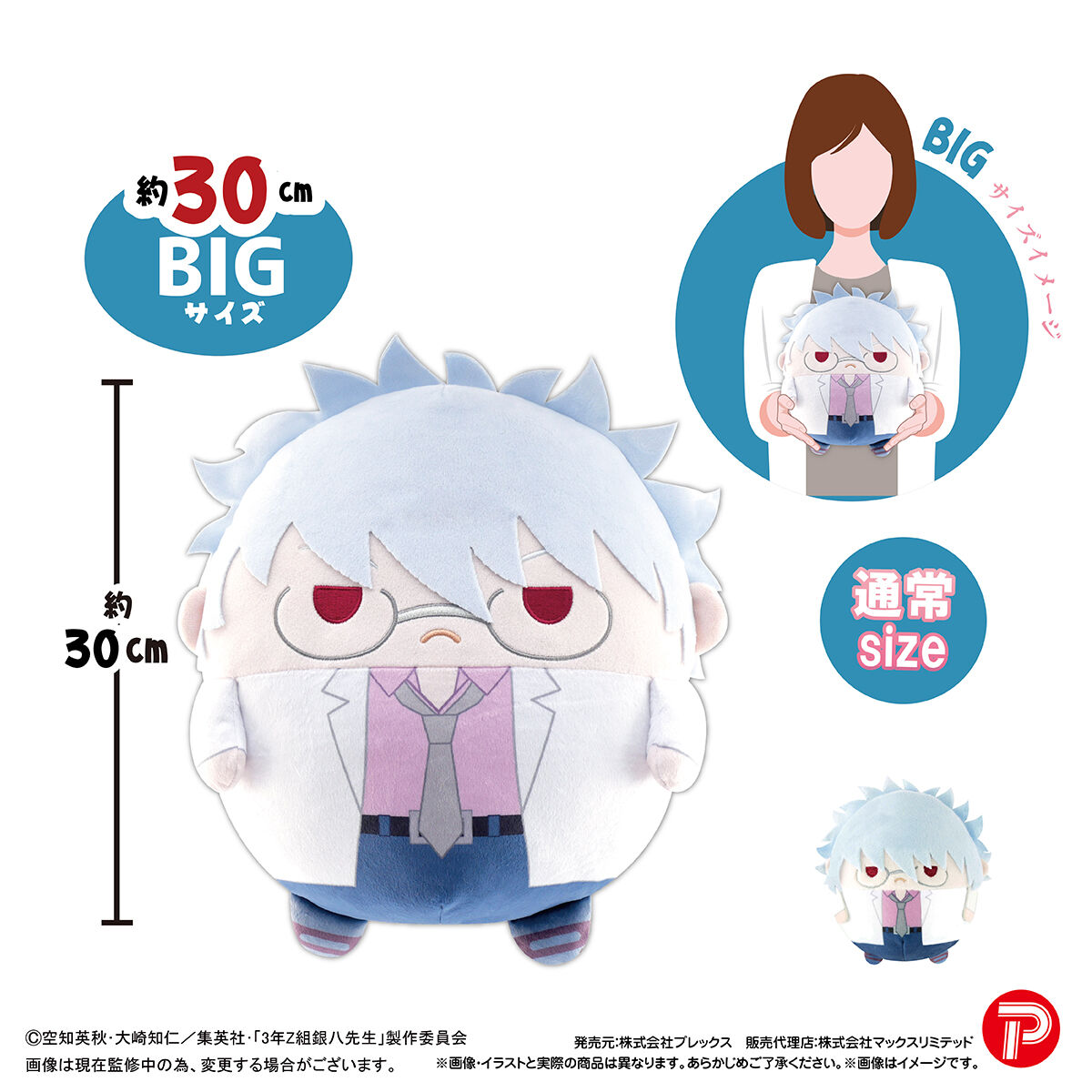 3年Z組銀八先生 ふわコロりんBIG | 銀魂 | アニメグッズ ・おもちゃ