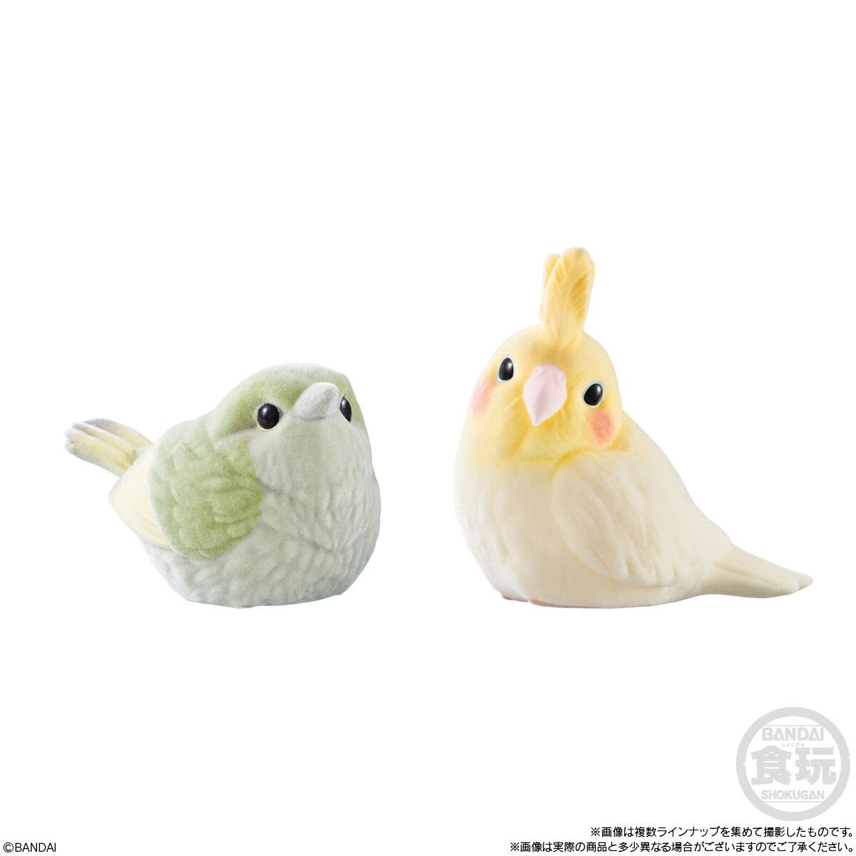 もふもふ・てのりフレンズ3(12個入) | ファンシー系キャラクター(Fancy