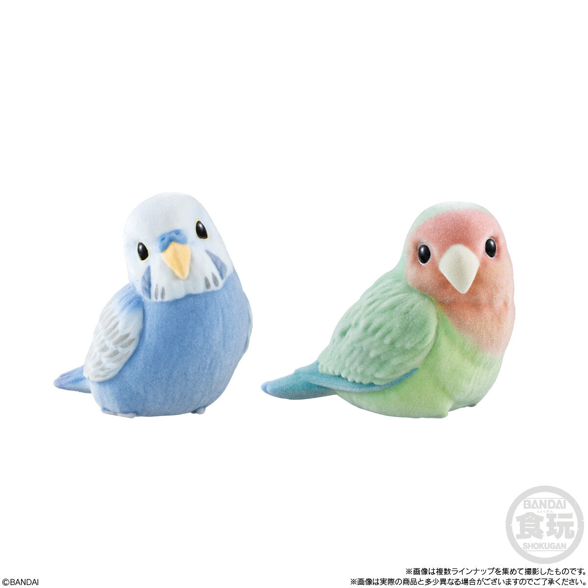 もふもふ・てのりフレンズ3(12個入) | ファンシー系キャラクター(Fancy