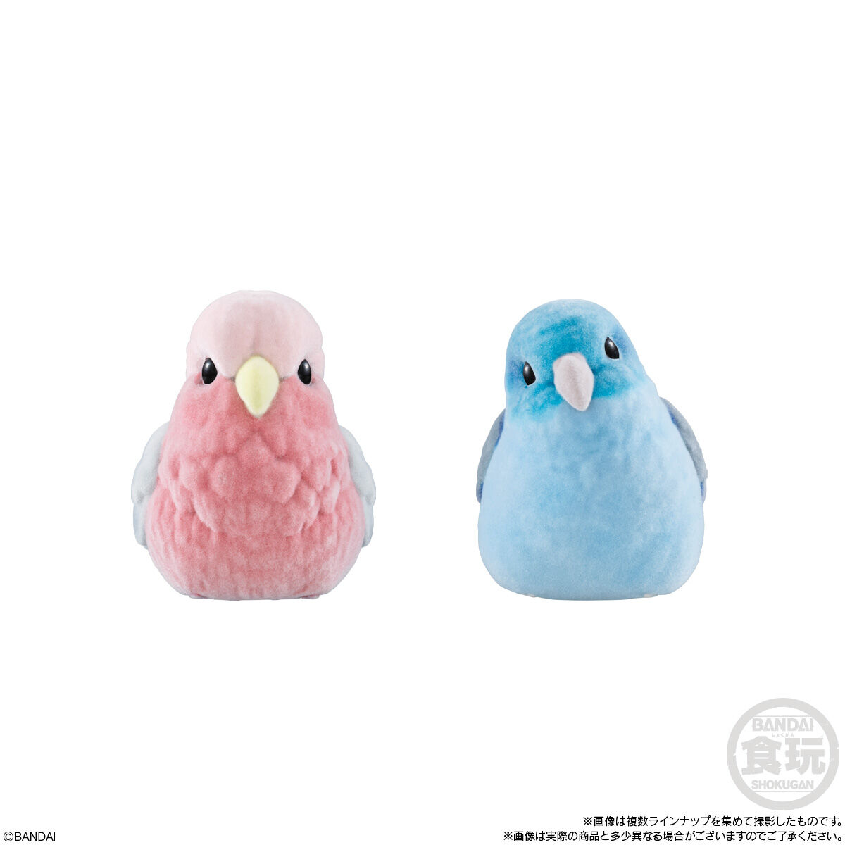 もふもふ　メモリセット Amazon | BANDAI COMPLETE SELECTION MODIFICATION FANGMEMORY