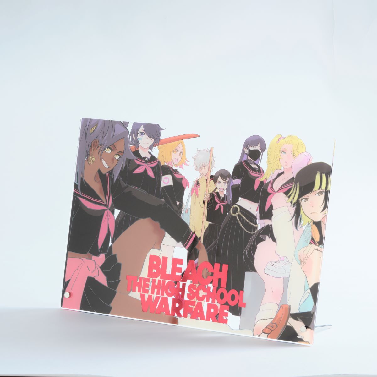 数量限定】BLEACH WORLD 箔押しアクリルプレート ～護廷高校＆白砂女子