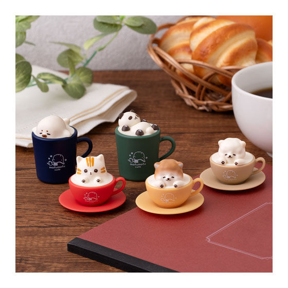 イメージカットB