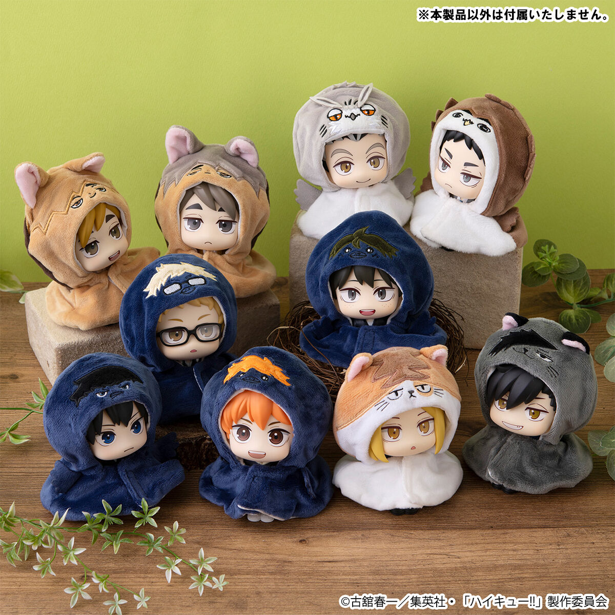 るかっぷ ポンチョ ハイキュー!! ボクトフクロウ/アカアシフクロウ