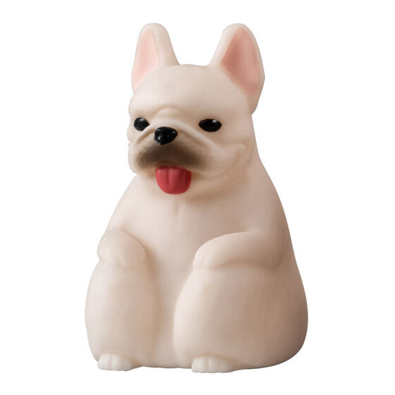 フレンチブルドッグ