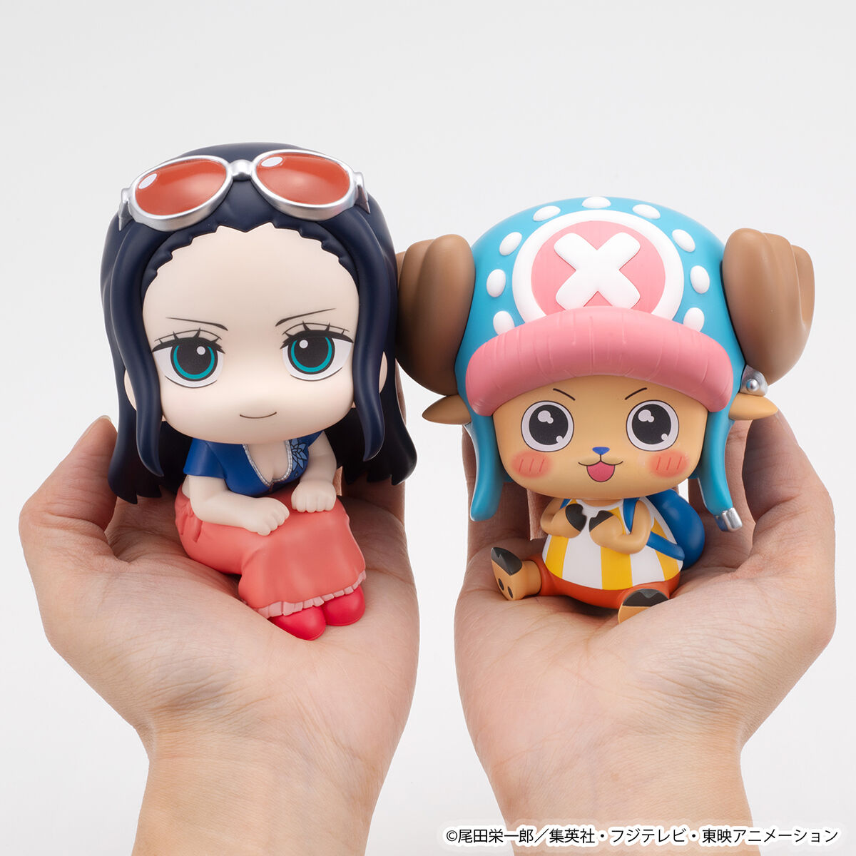 るかっぷ ONE PIECE ニコ・ロビン＆トニートニー・チョッパー ワクワク